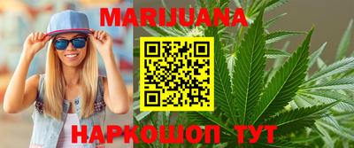 сатива Кандалакша