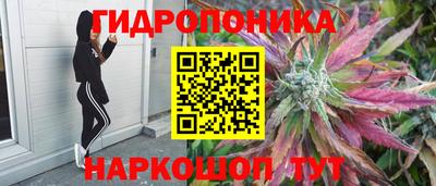 сатива Кандалакша