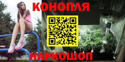 сатива Кандалакша