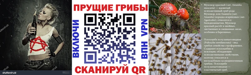 даркнет сайт  Кудымкар  KRAKEN ссылка  Галлюциногенные грибы GOLDEN TEACHER 