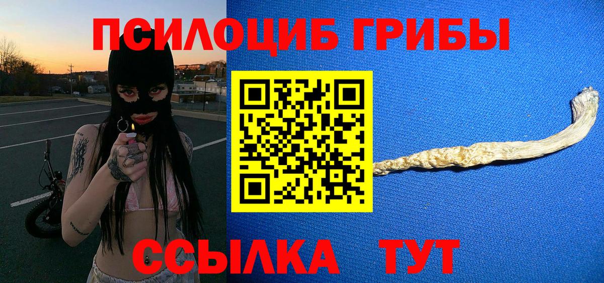 Псилоцибиновые грибы Psilocybe Кудымкар