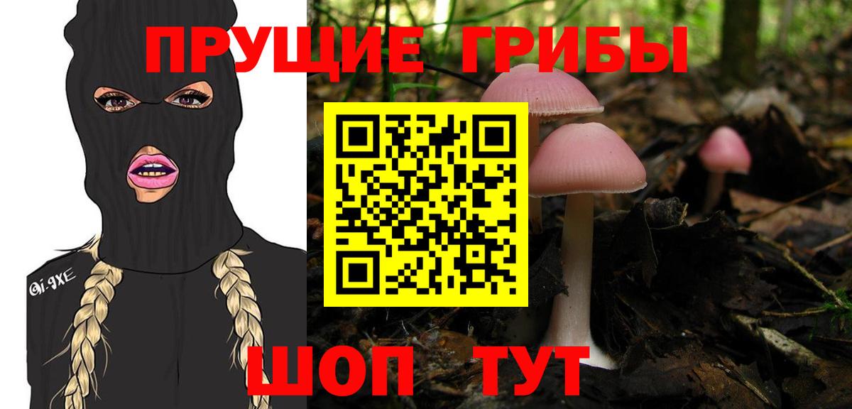 Кудымкар  Галлюциногенные грибы GOLDEN TEACHER  Вход с VPN  Псилоцибиновые грибы мухоморы 