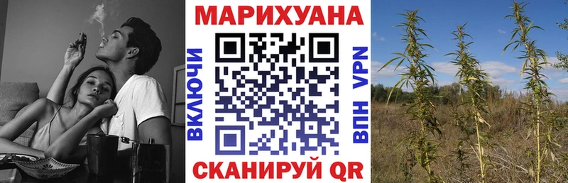 Канабис план  где можно купить наркотик  Кудымкар 